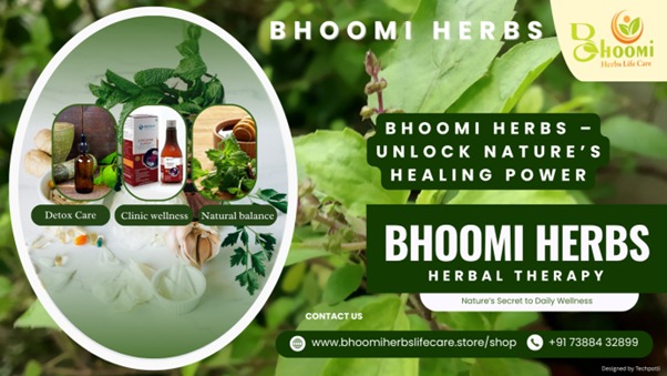 Natural Herbal Products vs Chemical-Based Cosmetics